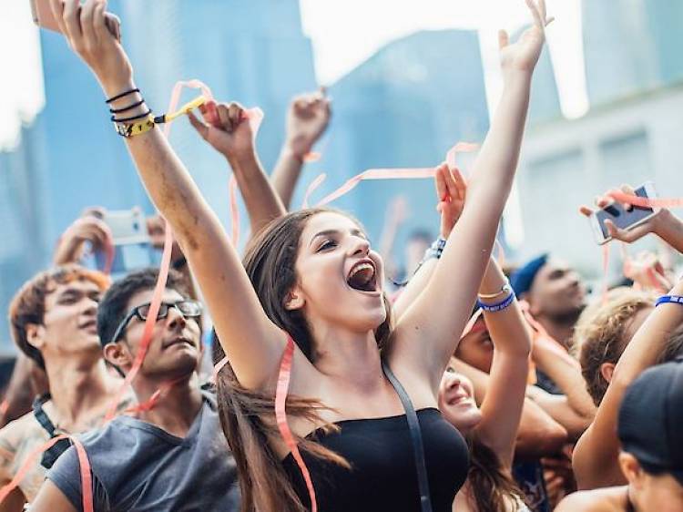 Summer Vibes venue and festival grounds