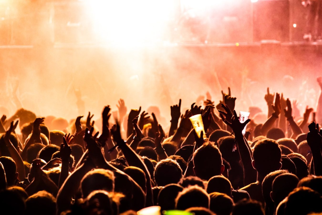 Detailed Summer Vibes festival planning visual